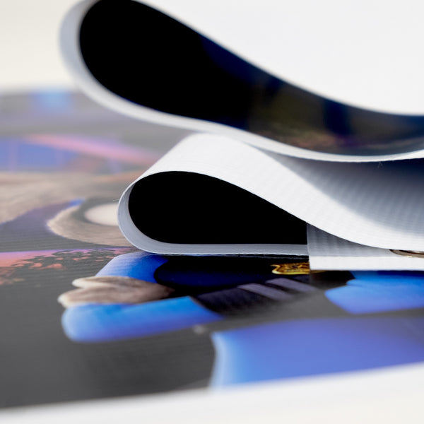 Zootopia 2 Vinyl Banner