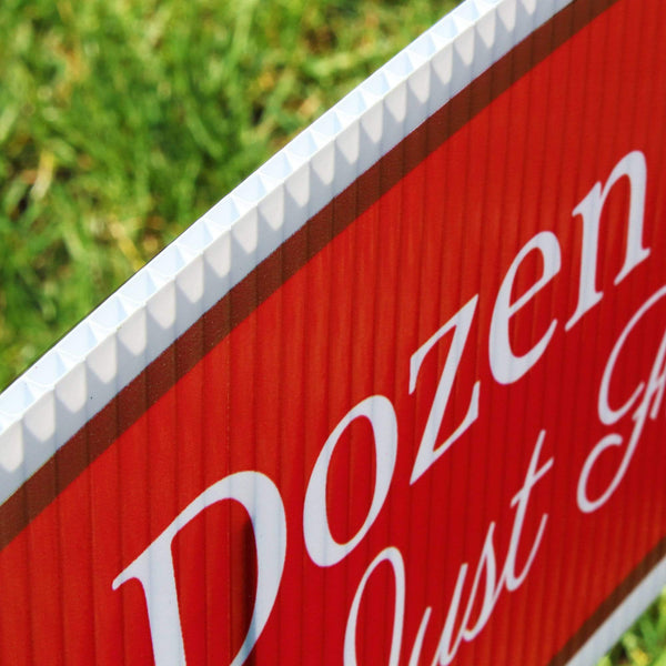 A Dozen Red Roses Golden Girls Yard Sign Display - Prime PartyMega Yard Kits