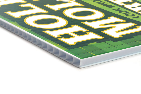 Holey Moley Mini Golf BirthdayYard Sign - Prime PartyYard Signs