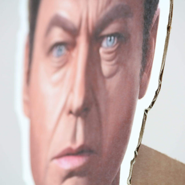 McCoy Life-Size Cardboard Cutout | Star Trek - Prime PartyCardboard Cutouts
