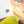 Zootopia 2 Vinyl Banner