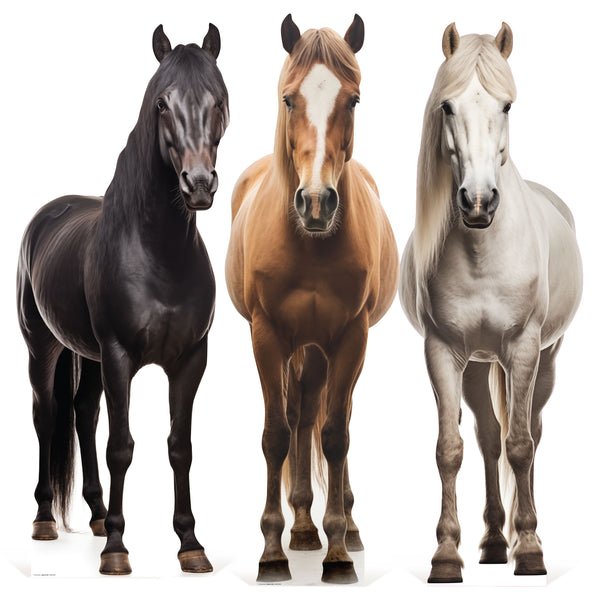 Horse Cardboard Cutouts