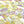 Tinkerbell Blossom Cupcake Wrappers (Pack of 12)