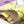 Tinkerbell Blossom Table Cover (54