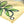 Tinkerbell Blossom Fabric Wall Banner (3' x 5')