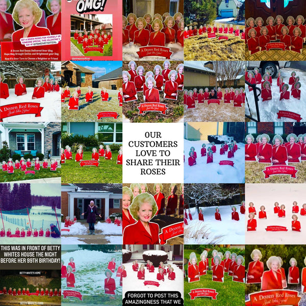 A Dozen Red Roses Golden Girls Yard Sign Display - Prime PartyMega Yard Kits
