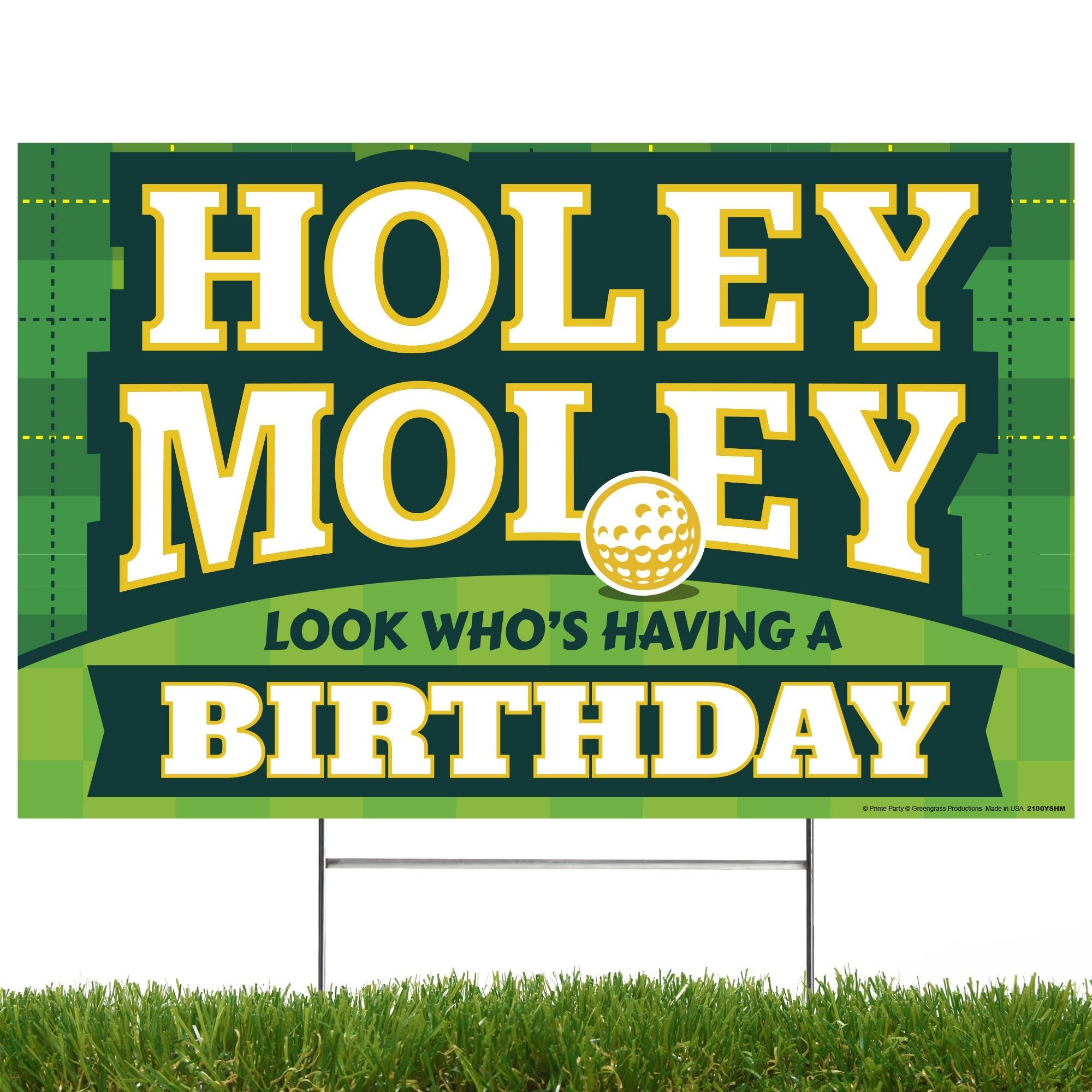 Holey Moley Mini Golf BirthdayYard Sign – Prime Party